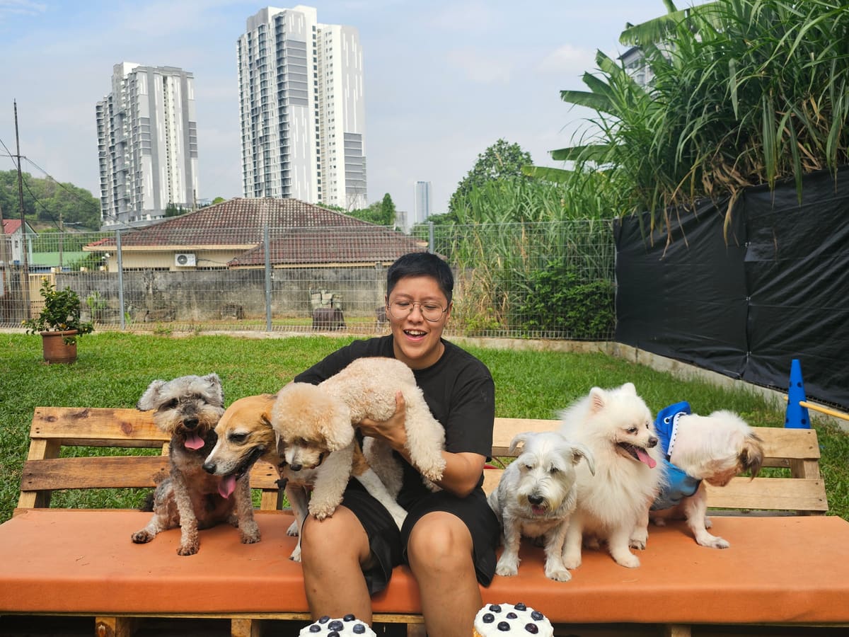WOH Family dog photo 5