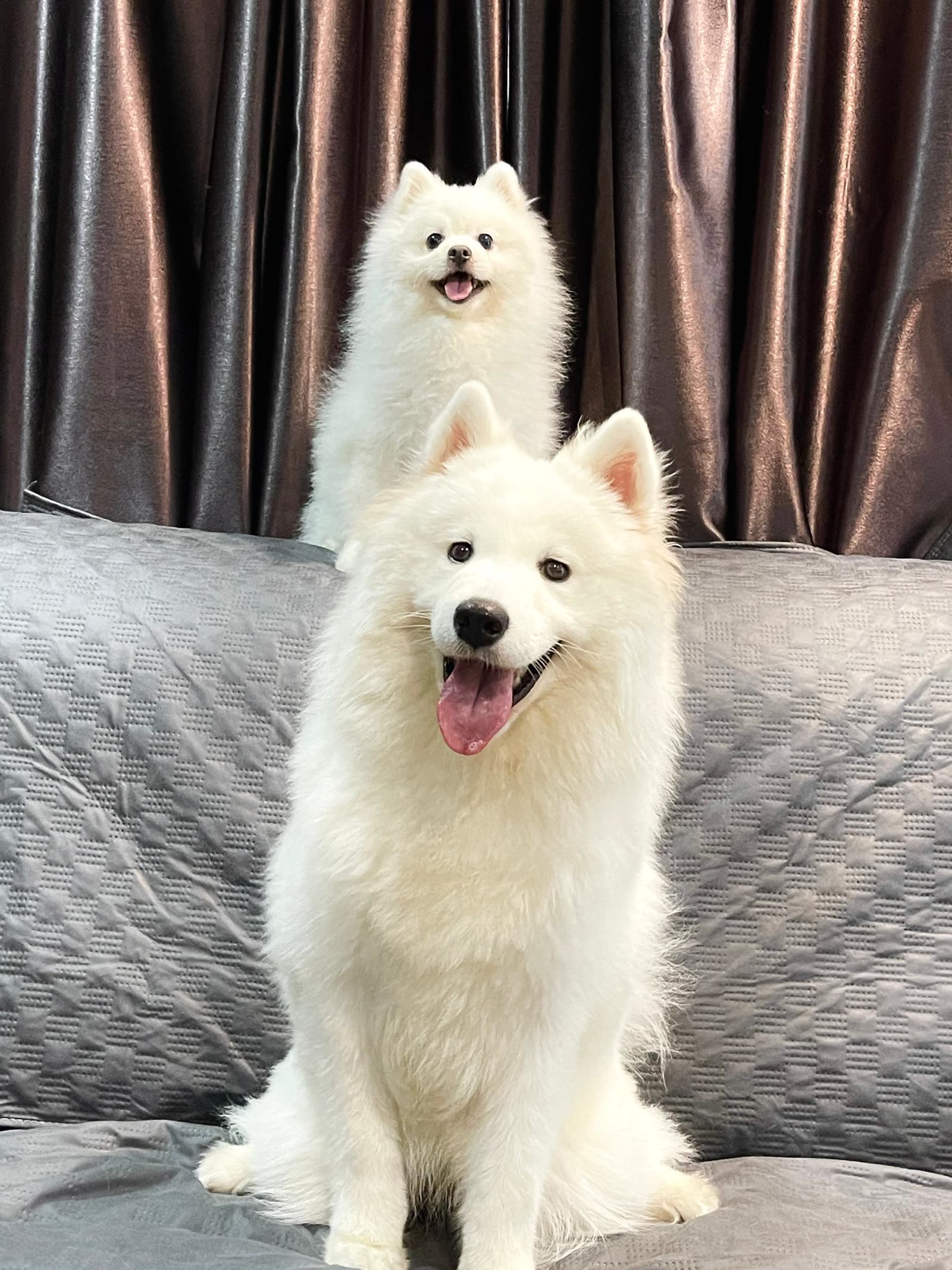 Kenzo & Xue Bao at WOH