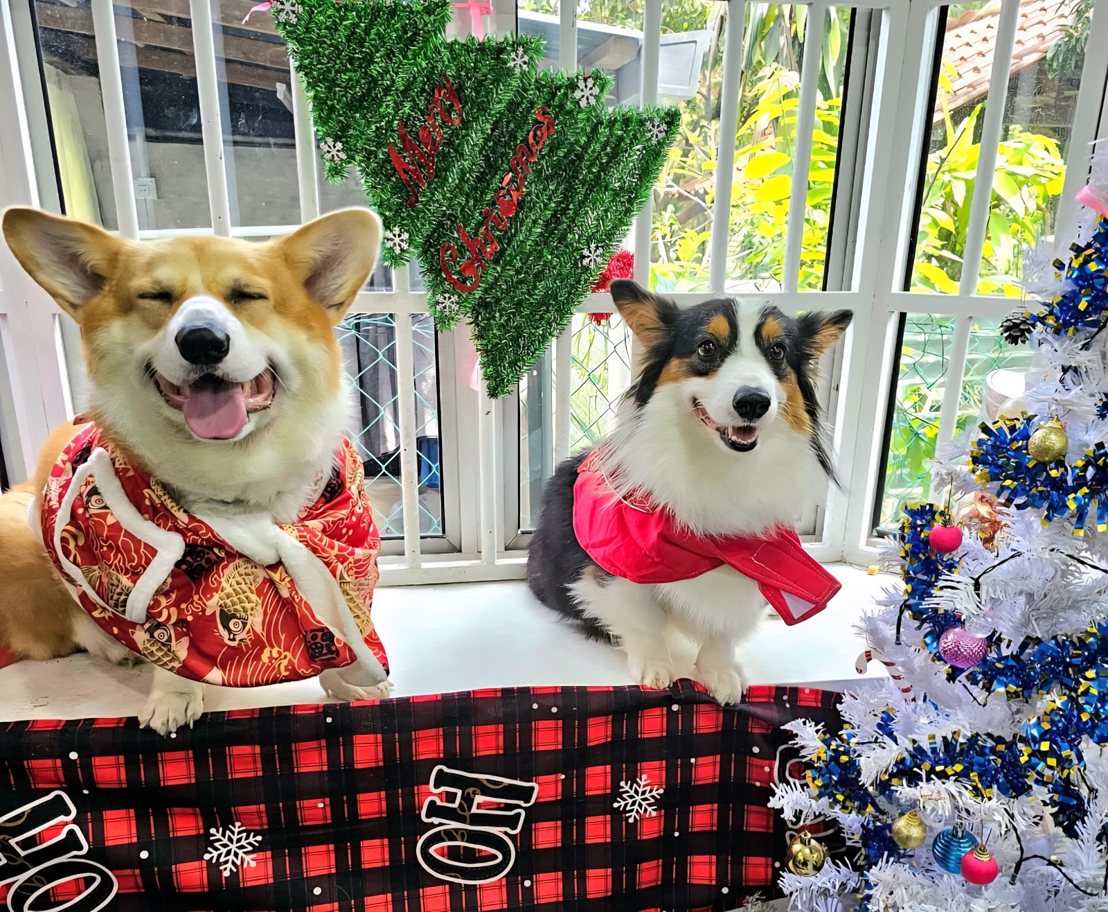 Meatball & Truffle at WOH