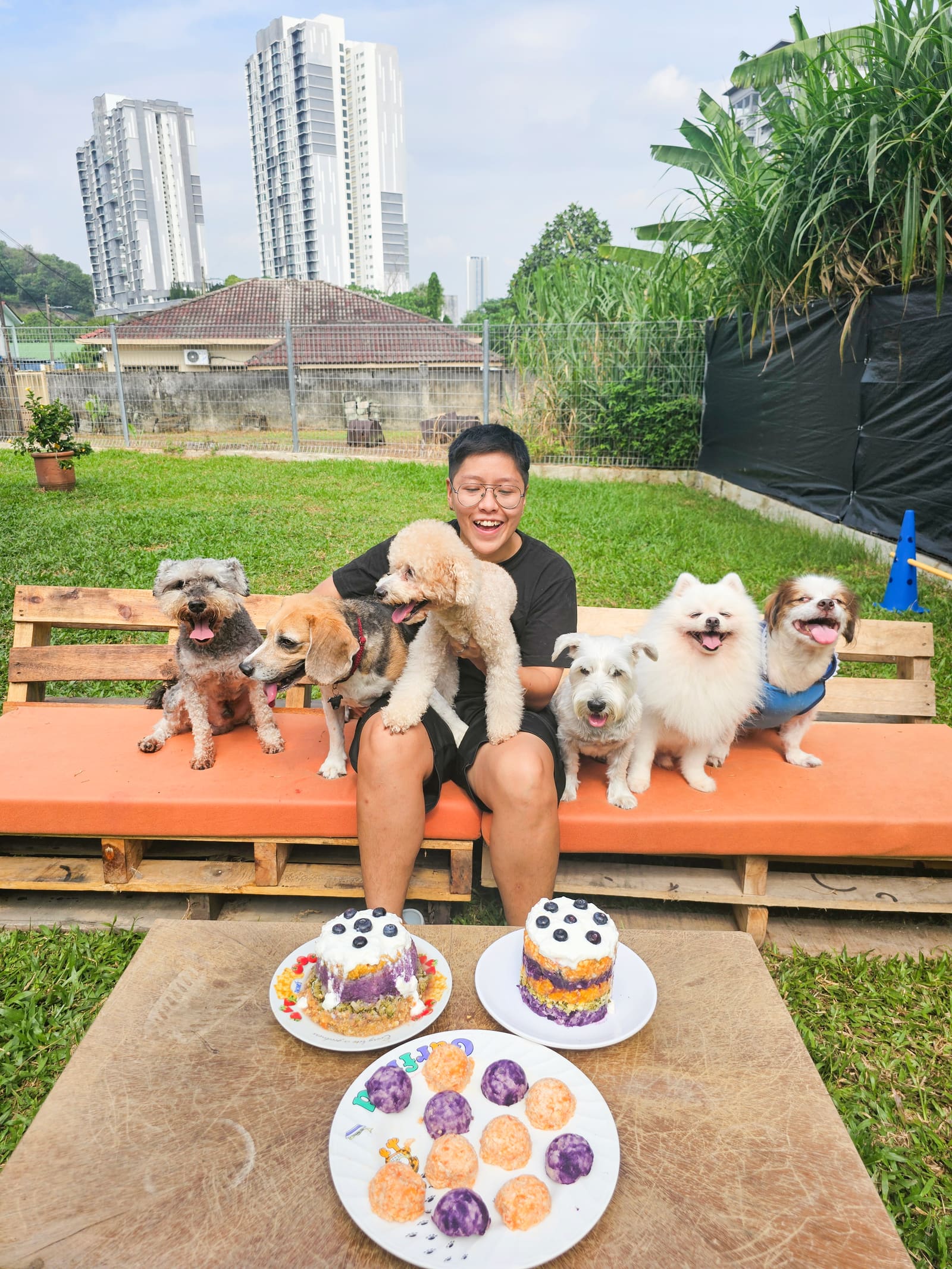 WOH caregiver with dogs in the home environment